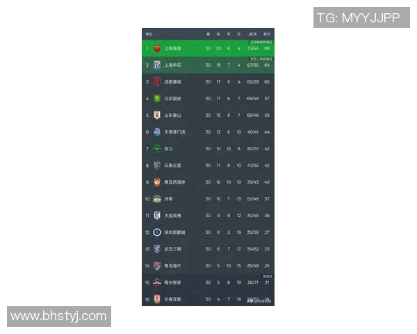 北京排球队在洲际杯积分榜中以65分稳居第一名展现强劲实力