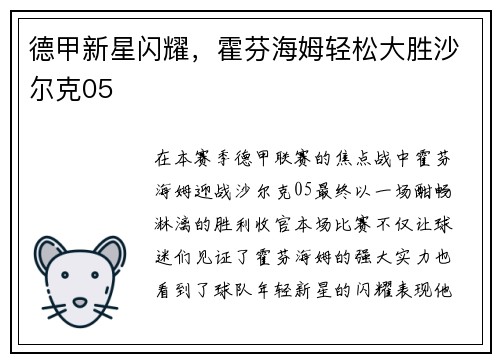 德甲新星闪耀，霍芬海姆轻松大胜沙尔克05