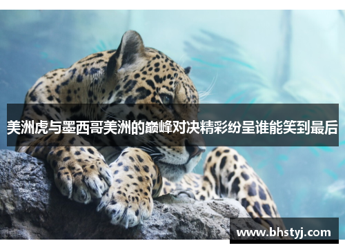 美洲虎与墨西哥美洲的巅峰对决精彩纷呈谁能笑到最后