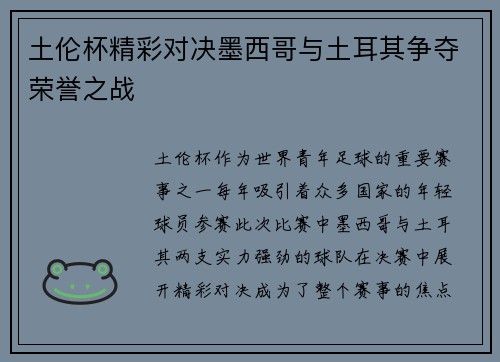 土伦杯精彩对决墨西哥与土耳其争夺荣誉之战